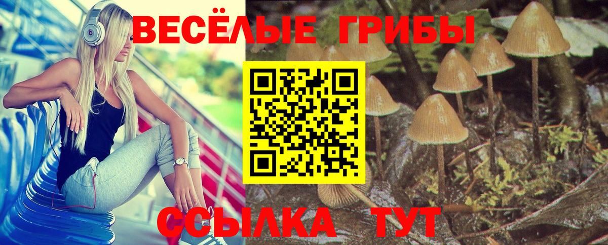 Узловая  Псилоцибиновые грибы Psilocybine cubensis  Вход с VPN  Галлюциногенные грибы ЛСД 